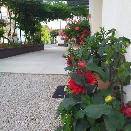 Apartments Jelicic Biograd Na Moru Buitenkant foto