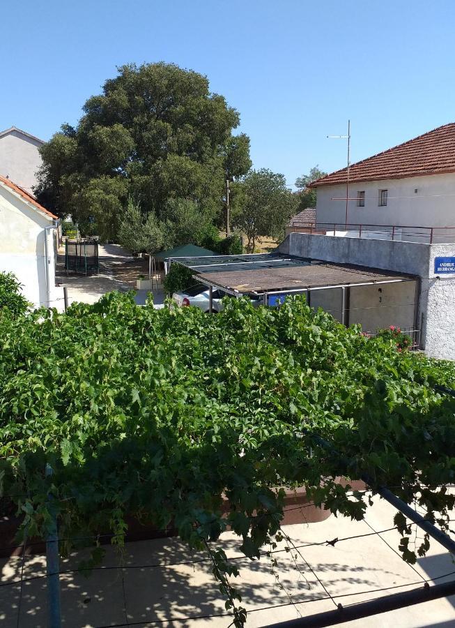 Apartments Jelicic Biograd Na Moru Buitenkant foto