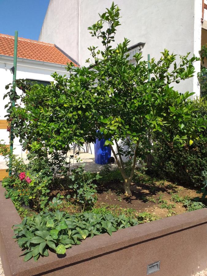 Apartments Jelicic Biograd Na Moru Buitenkant foto