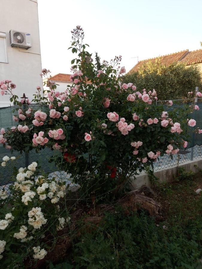 Apartments Jelicic Biograd Na Moru Buitenkant foto