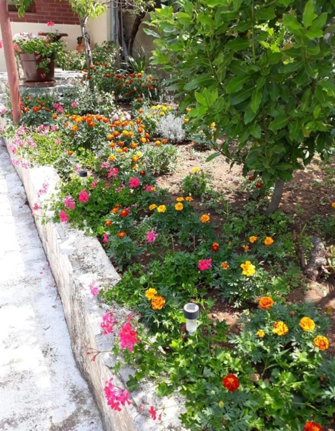 Apartments Jelicic Biograd Na Moru Buitenkant foto